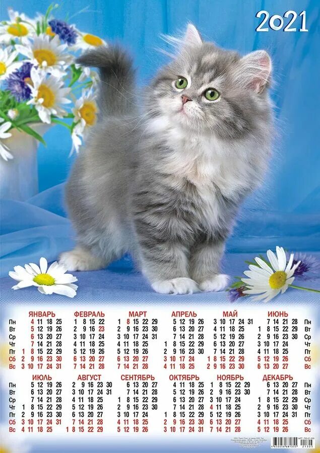 Кошка 2021. Календарь 2021. Календарь с котятами. Кошки календарь красивые. Календарь 2021 красивый.
