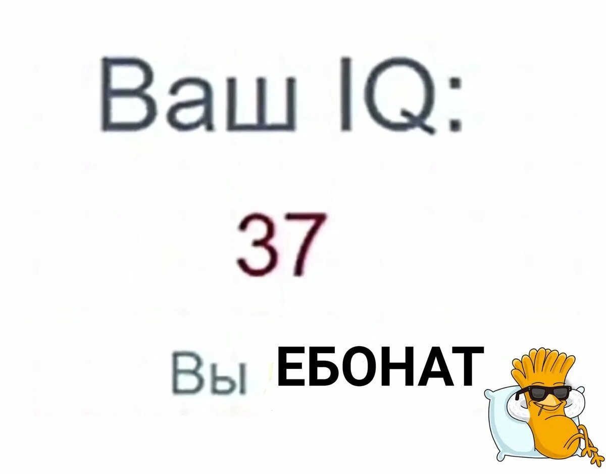 Ваш IQ. Айкью Мем. Приколы про айкью. Ваш IQ 3.