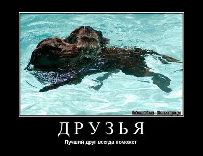 Друг который всегда поможешь и поддержишь