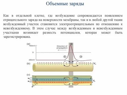 Объемно распределенный заряд
