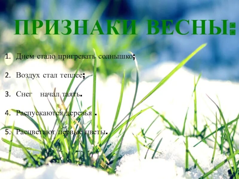 Весной воздух становится. Признаки весны. Весенние признаки. Характерные признаки весны.