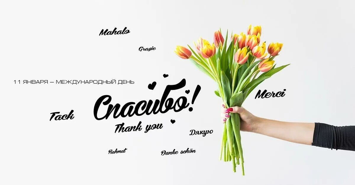 Спасибо праздник 11. Спасибо праздник 11