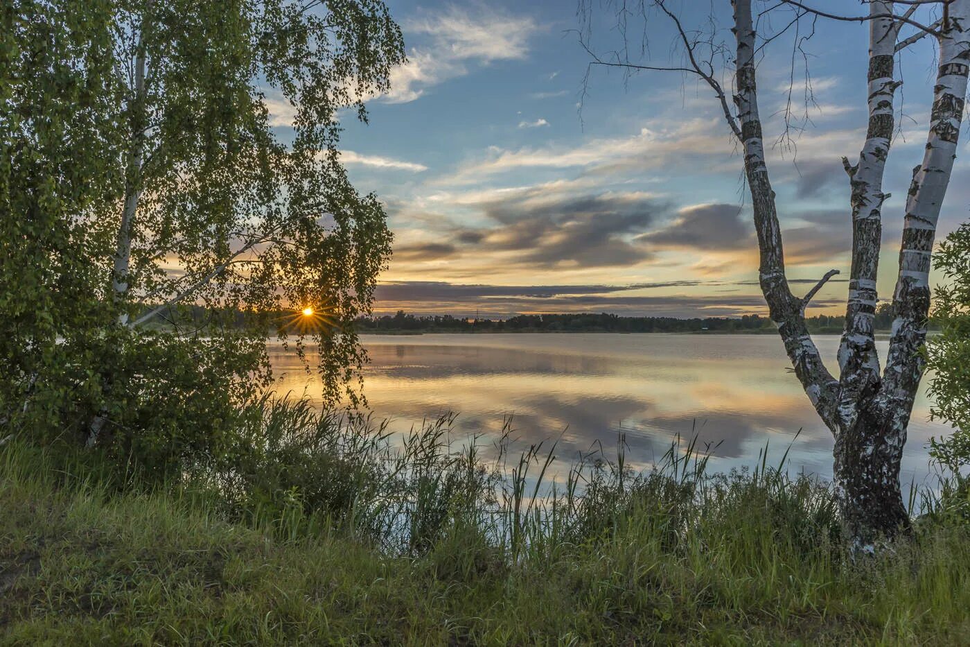 Рассвет березы. Рассвет березы. Березка заря. Березовая роща ночью. Березка заря.