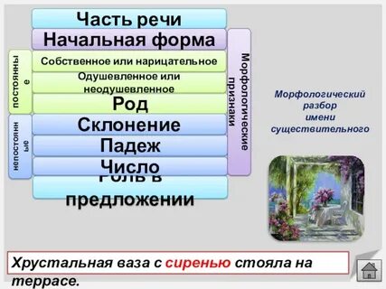 Морфологический разбор существительного сирень