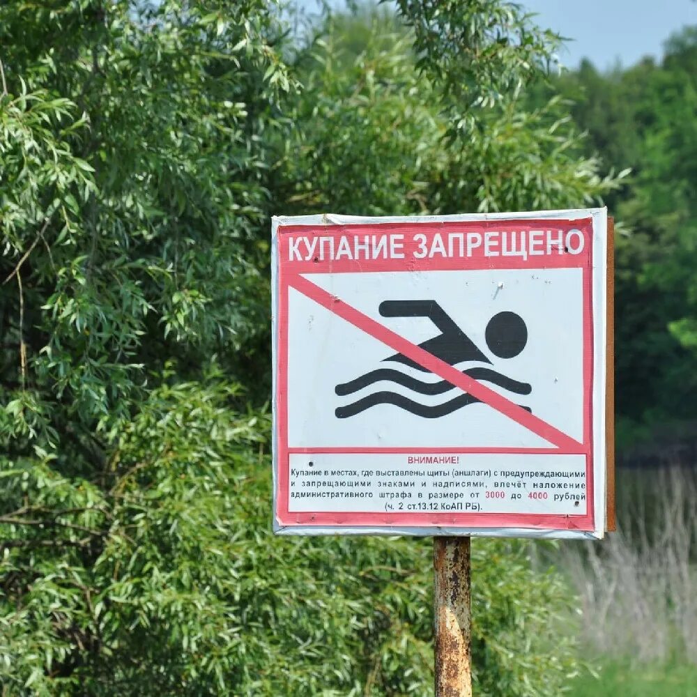 Знак купаться запрещено картинка для детей. Знак «купаться запрещено». Купание запрещено табличка. Аншлаг купание запрещено. Плакат купание запрещено.