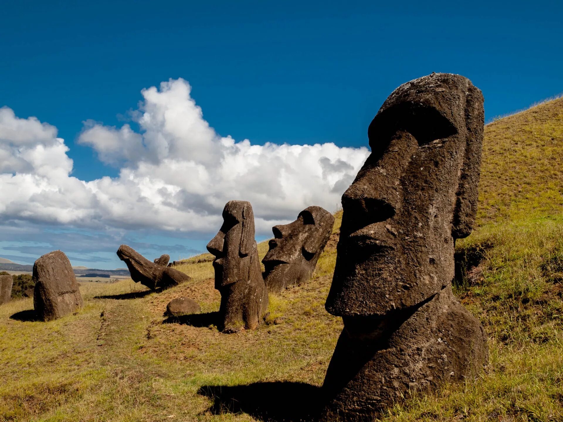 Какой стране принадлежат каменные статуи острова пасхи. Остров Пасхи статуи Моаи. Каменные статуи Моаи остров Пасхи Чили. Моаи (статуи острова Пасхи), Чили. Истуканы Рапа-Нуи остров Пасхи.