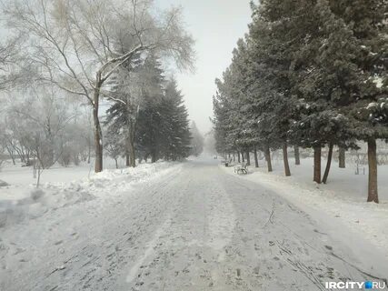 Была зима стоял лютый мороз люба