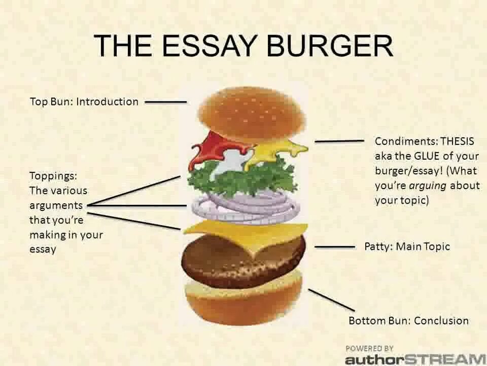 Topic argument. Essay structure. Paragraph structure. Essay structure Sample. Paragraph structure пример.