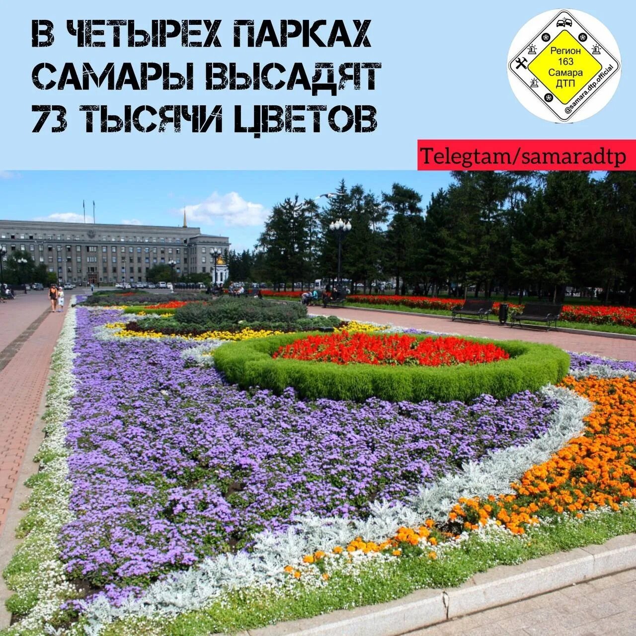 Иркутские цветы. Клумбы иркутска. Город иркутск цветы. Город иркутск цветы. Парк горького цветники.