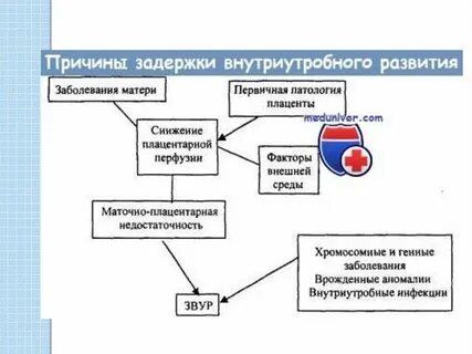 Внутриутробные инфекции последствия