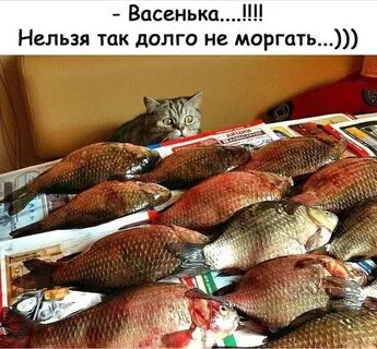 Ем много рыбы