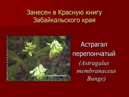 Края занесены в красную