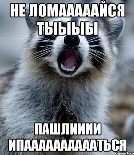 Скинь денег мем