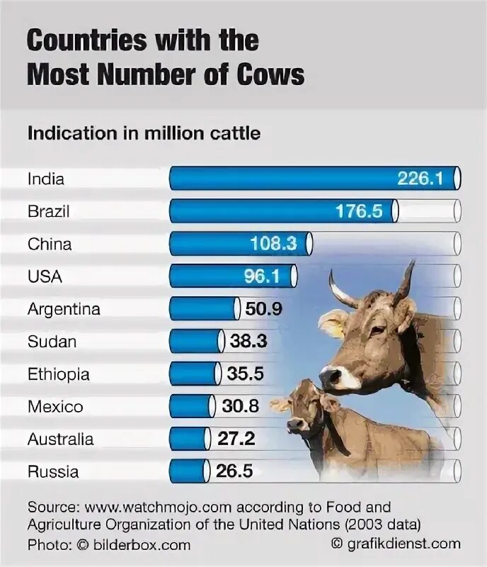 The most number. Place value of the digit. The most number. Which country. System of numbers invented.