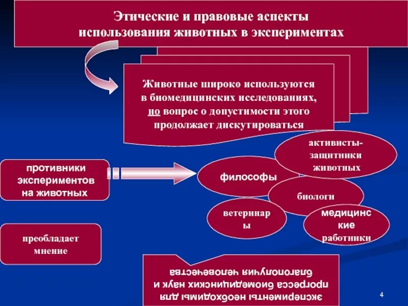 Морально нравственное регулирование. Этические принципы проведения исследований на животных. Этические аспекты. Этико правовые аспекты в медицине. Моральные принципы проведения экспериментов на животных.