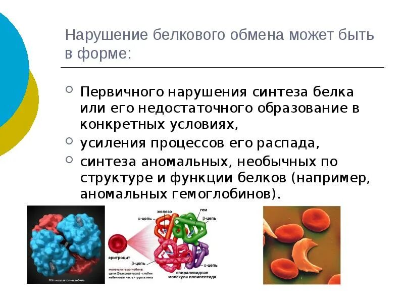 Нарушение обмена белков. Нарушение белкового обмена в организме. Нарушение белкового обмена заболевания. Этапы нарушения белкового обмена. Конечные продукты белкового