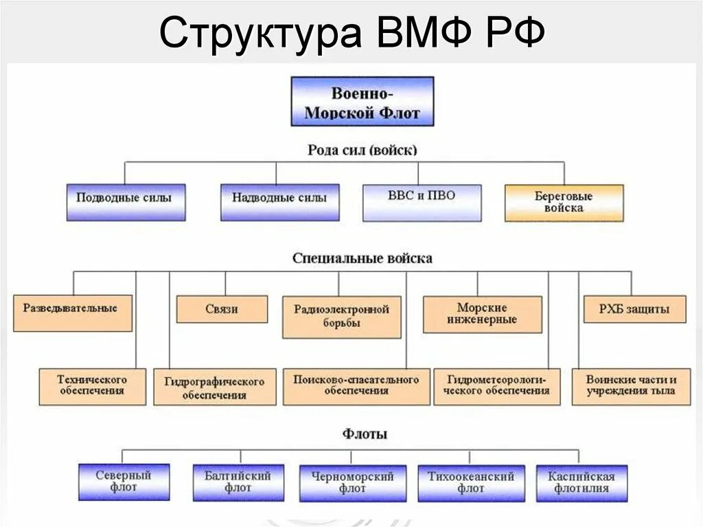 Структура ВМФ РФ 2021. Структура ВМФ РФ 2020. Структура военно морского флота РФ. Структура ВМФ РФ 2020 схема. Типы флота