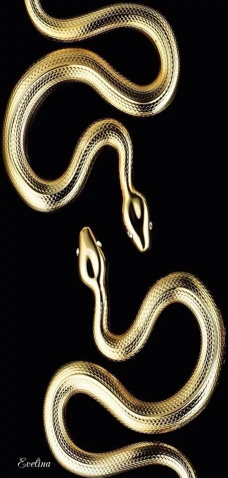Pin de Speedypoison527 em cool wallpapers Desenhos de cobras, Papel de parede hi