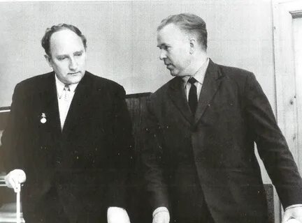 Аркадия шипунова