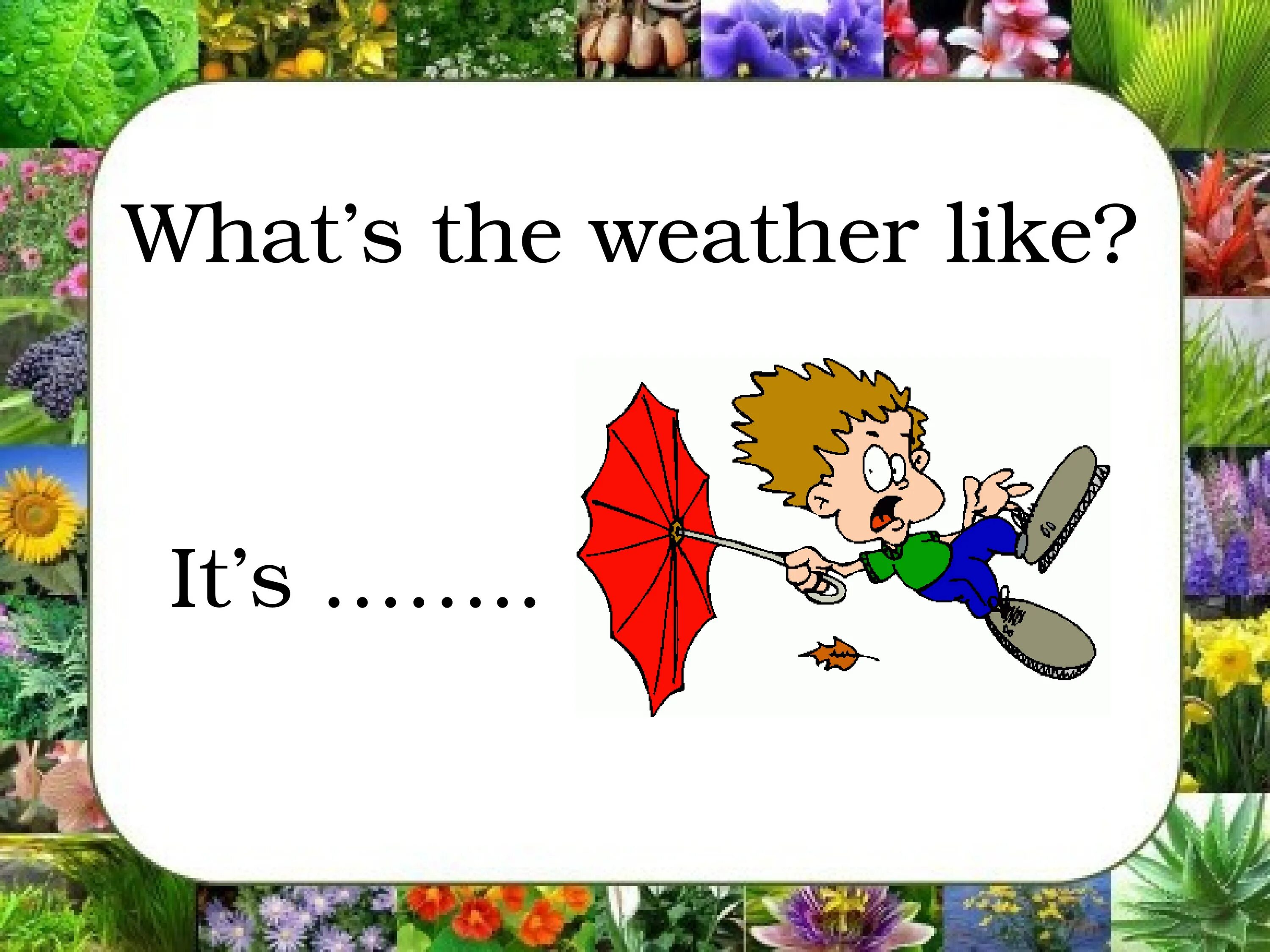 Спотлайт 2 погода. The weather 2 класс Spotlight. Spotlight 2 my Holidays презентация. Спотлайт 2 класс погода. Спотлайт 2 класс my Holidays.