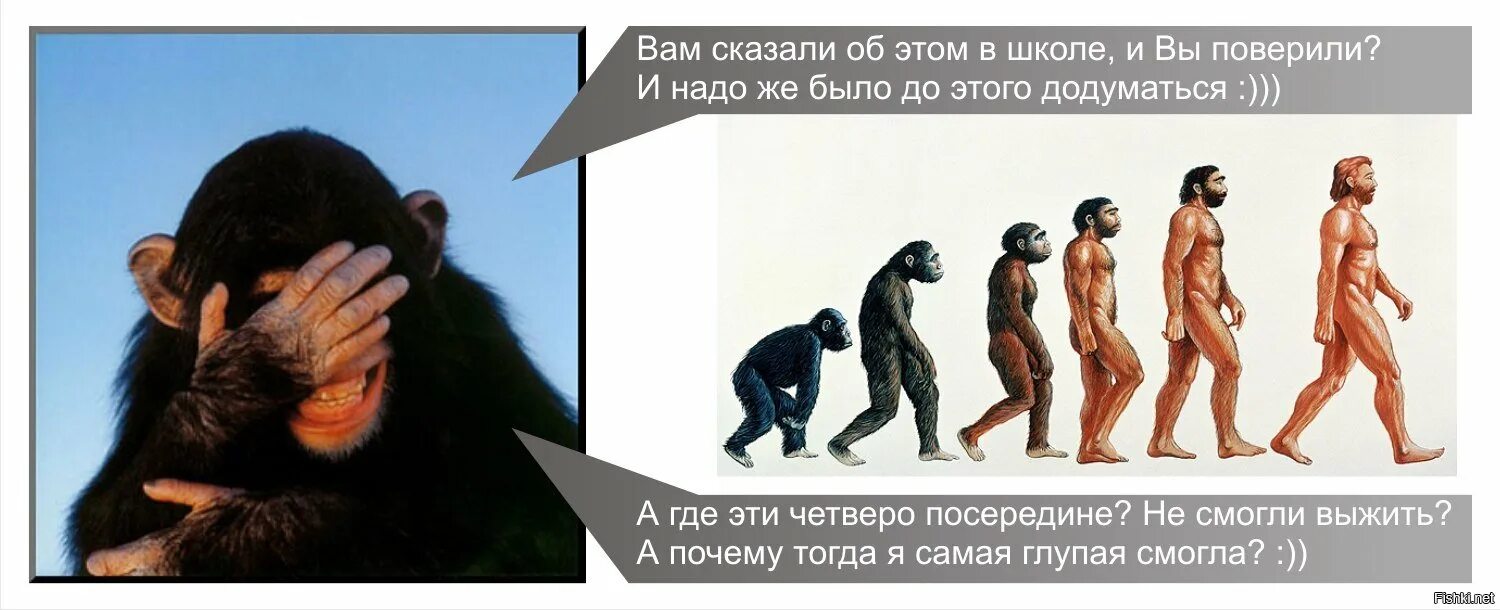Теория эволюции Дарвина. Человек произошел от обезьяны. От обезьяны к человеку. Дарвин человек произошел от обезьяны.