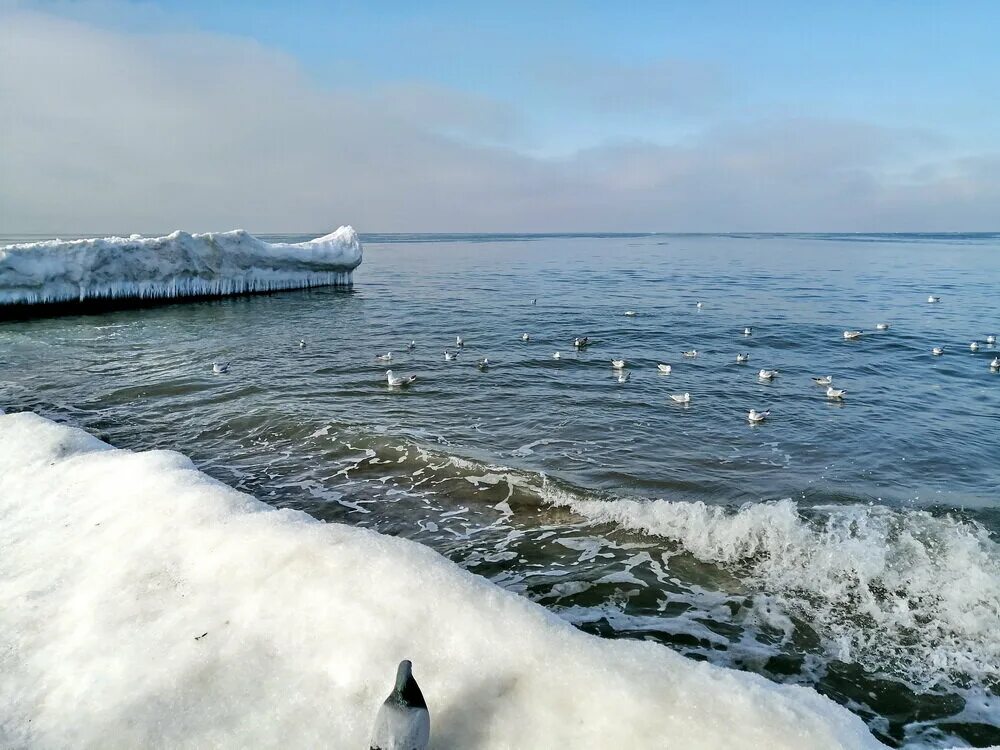 Температура воды в балтийском море зеленоградск. Балтийское море Калининград. Зеленоградск зимнее море. Балтийск море. Балтийское море зимой Калининград.