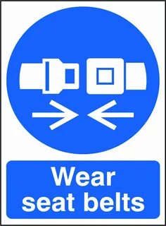 Wear a seat belt перевод