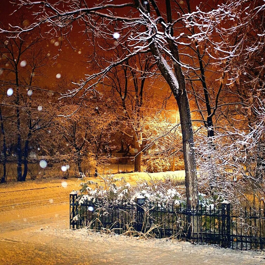 Ранняя зима. Первый снег. Поздняя зима. Ранняя зима в городе. С зимой с первым снегом