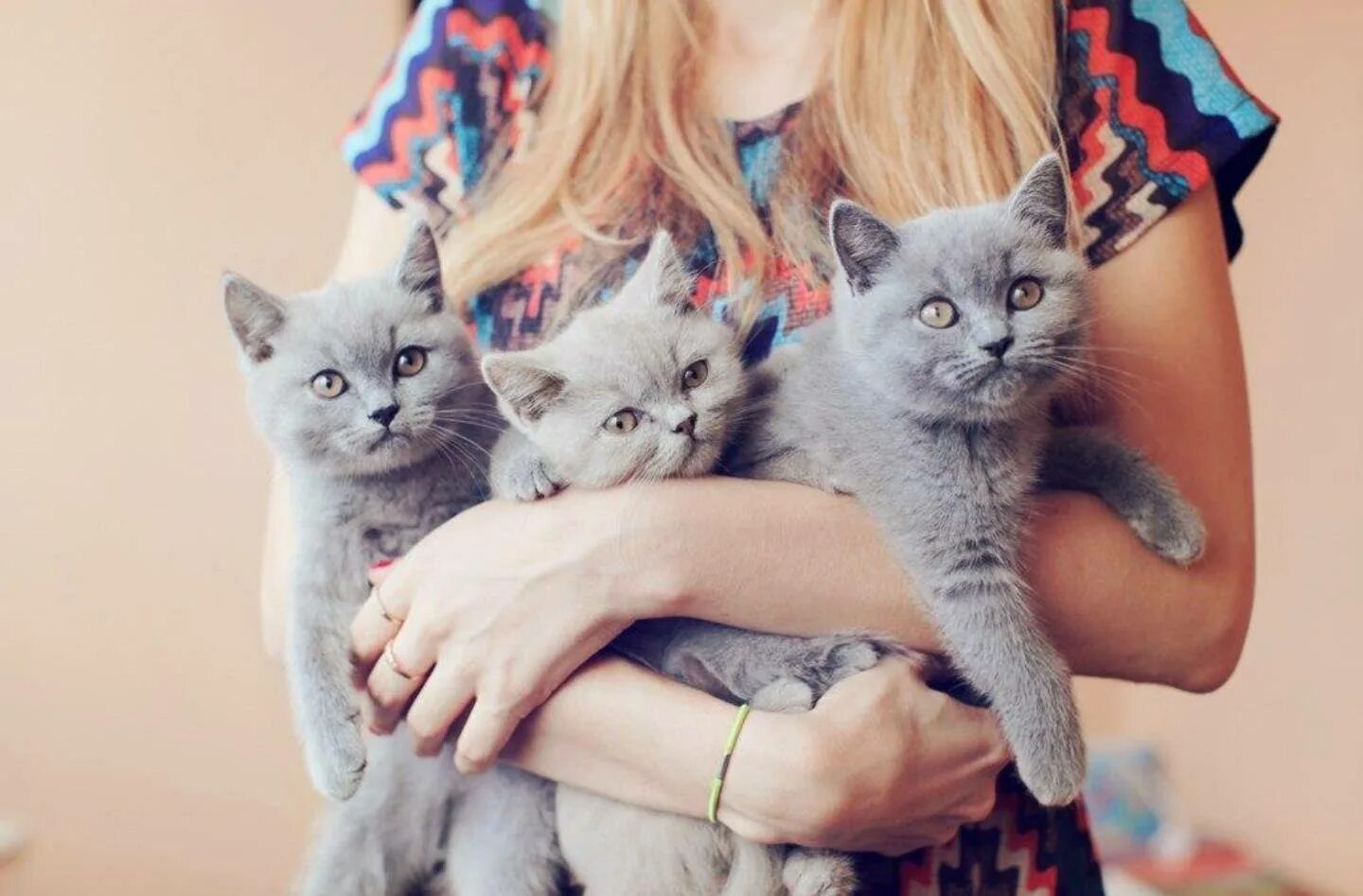 Девочки девчонки мы для них котенки песня