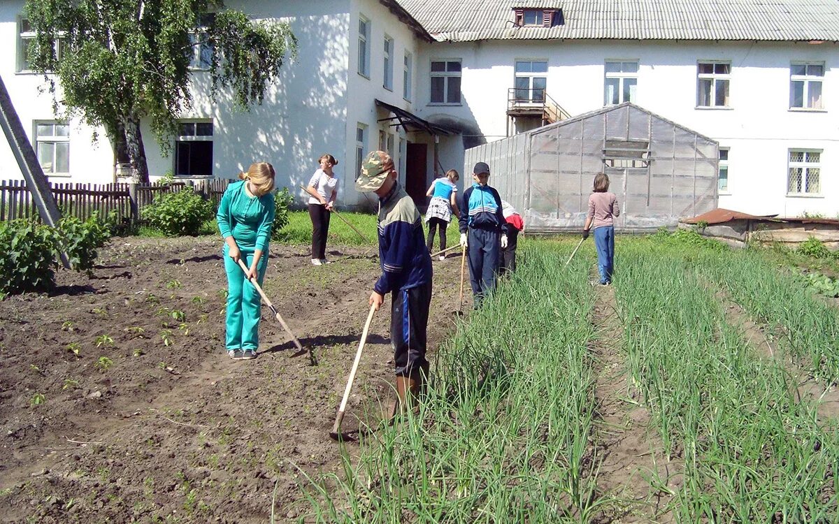 Летняя практика в школе. Практика в школе законно. Практика в школе законно. Летняя практика в школе. Практика в школе законно.