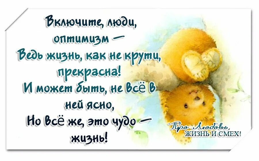 Высказывания про оптимизм. Стих про оптимиста. Смешные высказывания про пессимист и оптимиста. Стихи про оптимистов. Смешные цитаты.