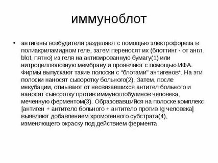 Иммуноблот