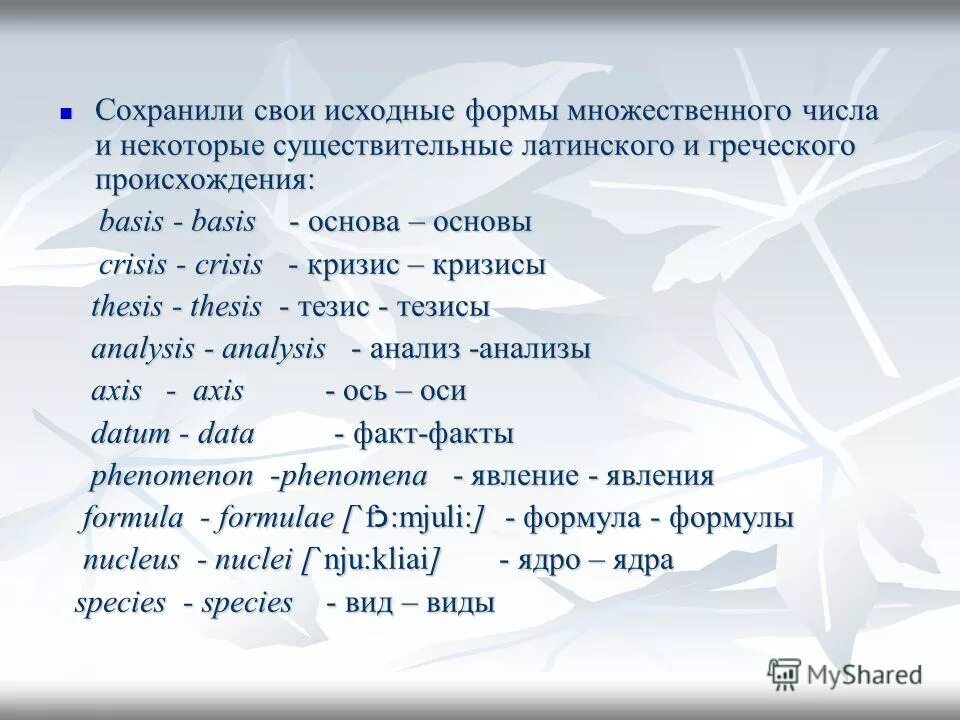 Греческие корни латинских слов. Образование множественного числа существительных в латинском языке. Множественное число в латыни существительные. Существительные во множественном числе на латинском. Образование множественного числа в латыни.