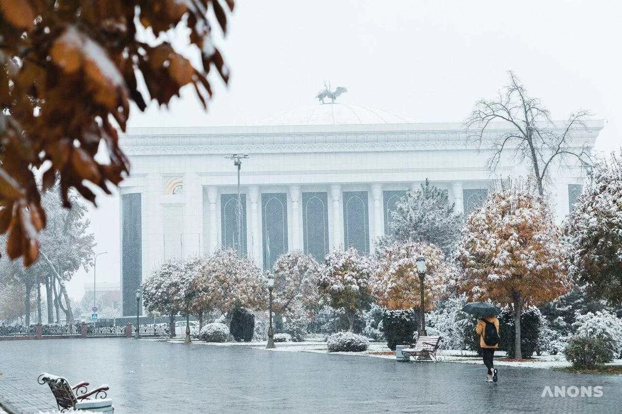 Ташкент январь. Снег в Ташкенте. Зима в Узбекистане 2023. Ташкент зимой. Ташкент зима 2021.