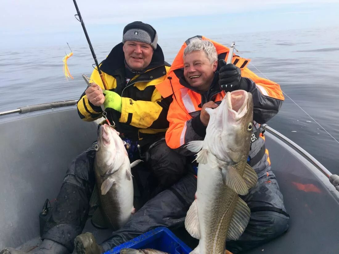 Англия ловила рыбу в баренцевом море. Морская рыбалка в Баренцевом море. Баренцево море. Морская рыбалка треска. Рыбалка на треску в Баренцевом море. Ловля трески.