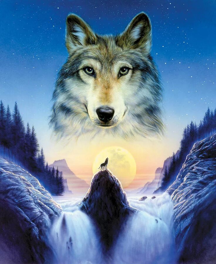 Эпоха волка. Красивый волк. Изображение волка. Волк на заставку. Картина волки.