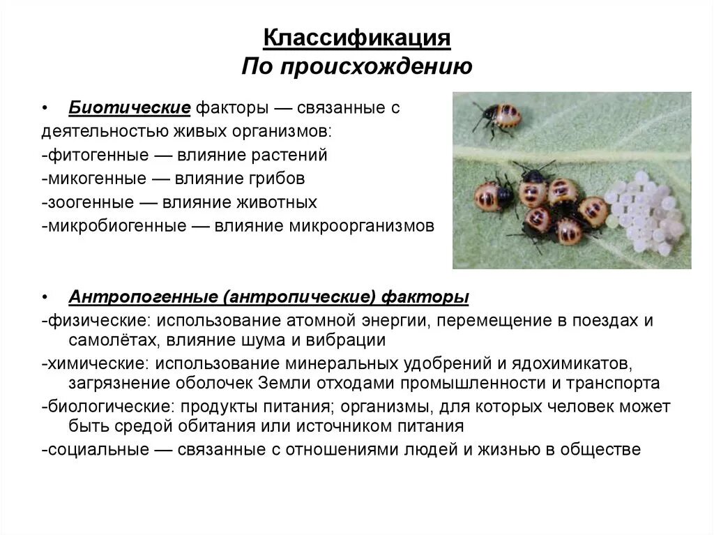 Примеры факторов связанных с деятельностью Примеры действия экологических факторов на организм