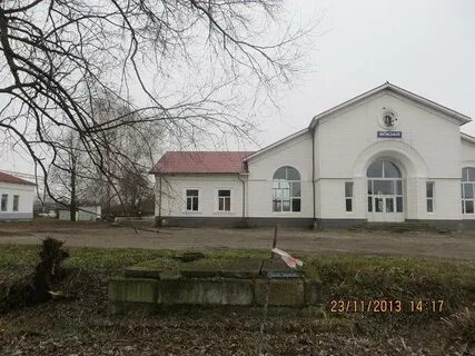 Зерново брянская область сегодня