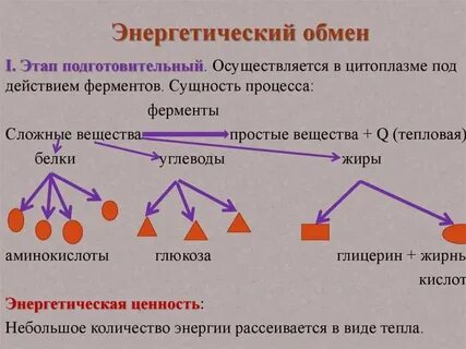 Энергетический обмен 9