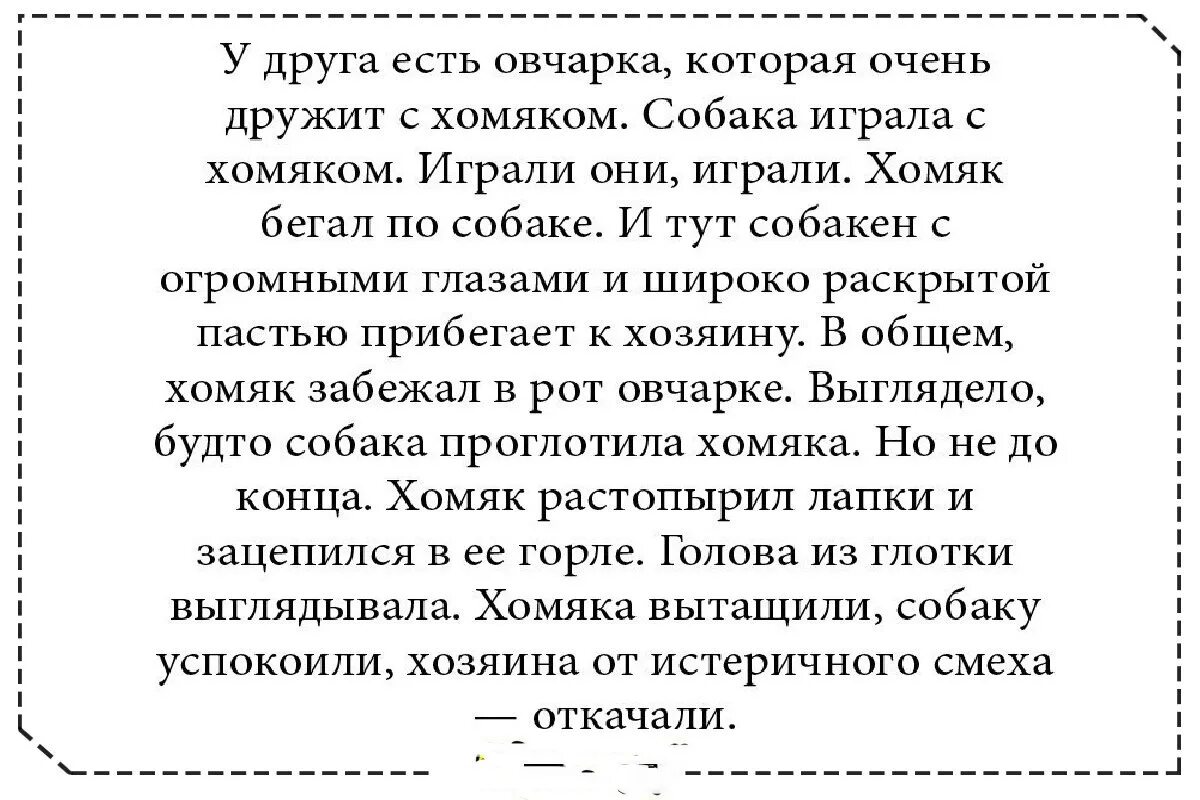 Добро истории из жизни. Добрые истории из жизни людей. Очень короткие добрые истории. Смешные добрые истории из жизни для детей. Добрая история из жизни короткая.