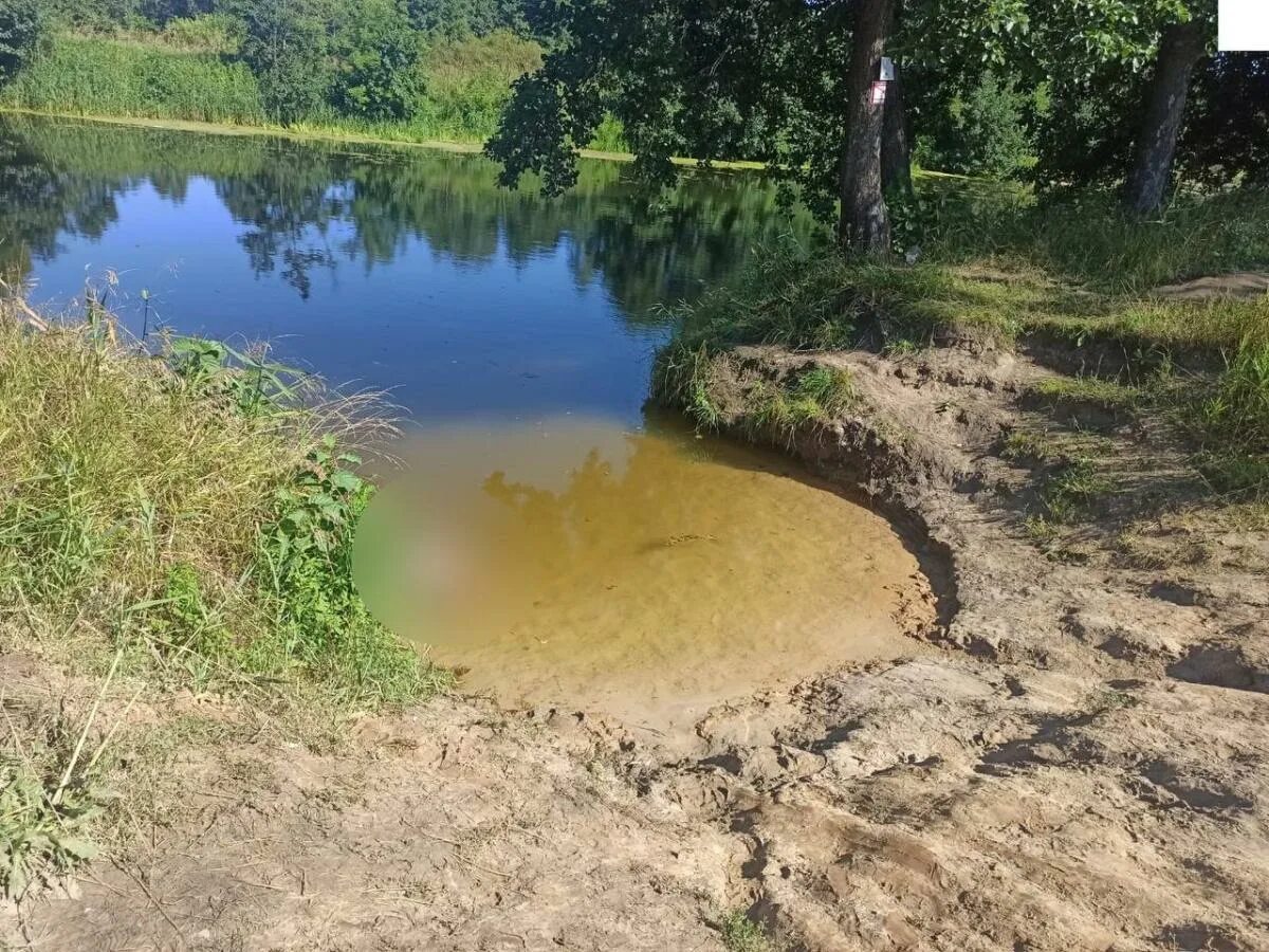 Река Сивинь Мордовия. Водоемы Мордовии. Мордовские пруды для купания. Стрелецкий пруд Мордовия. Пруды мордовии