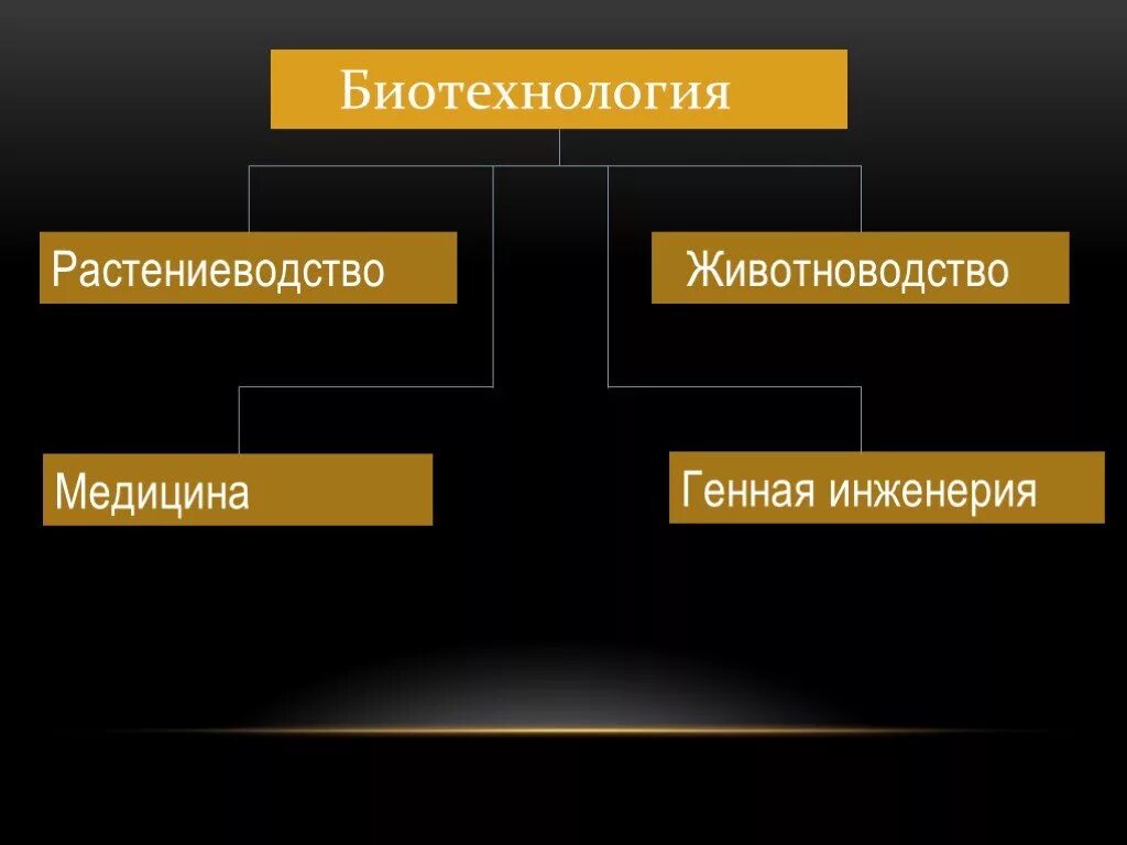 6 биотехнология. Биотехнологии в растениеводстве. Биотехнология в животноводстве презентация. Достижения биотехнологии в растениеводстве. Биотехнологии в животноводстве.