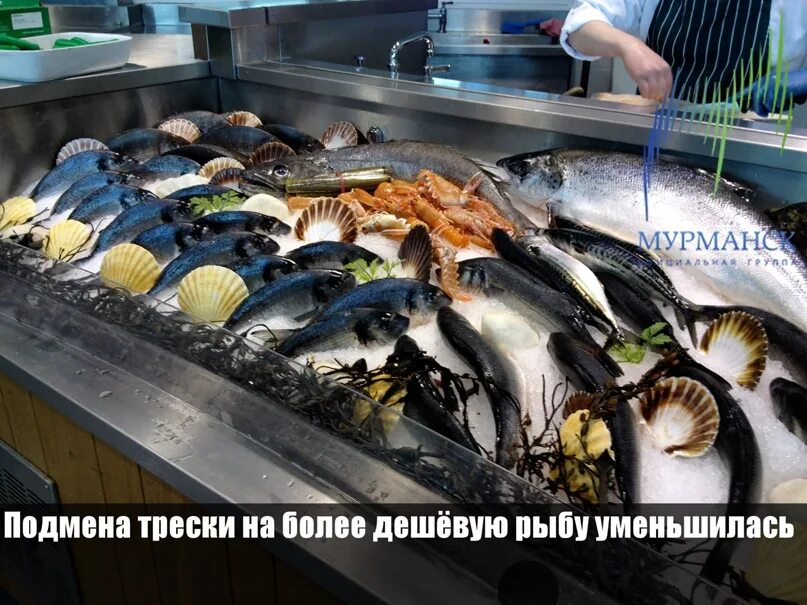 Рыбный прилавок. Рыба на прилавке. Продавец рыбы. Рыбный рынок. Замораживание рыбы.