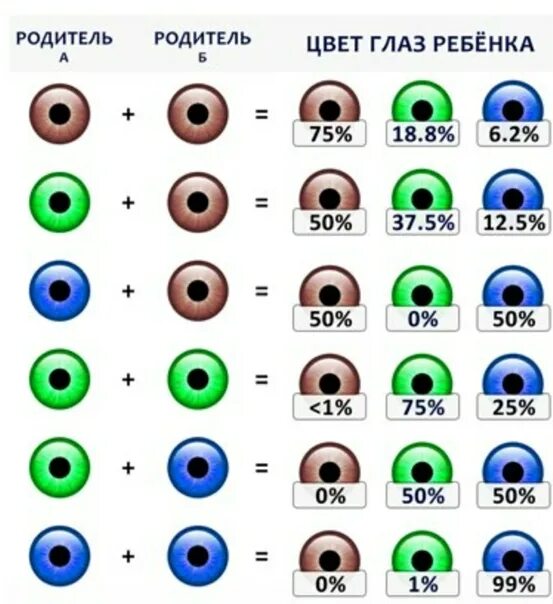 Какие глаза будут у кареглазых родителях. Генетика цвет глаз наследование таблица. Наследование цвета глазглаз генетика. Как передаётся цвет глаз по наследству генетика. Схема генетического наследования цвета глаз у детей.