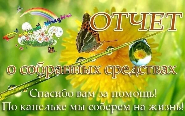 День благодарности отчет. Отчет о поступлениях. Спасибо за помощь и поддержку. Отчет о сборе средств. Благодарность за сбор средств.