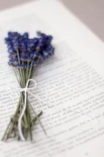 Прованс книги