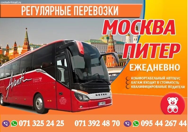 Номер телефона автобуса на москву. Автобус Москва. Автобусы в Питере. Автобус Москва Санкт-Петербург. Автобус в Санкт-Петербург из Москвы.