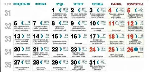 В какие дни в октябре можно