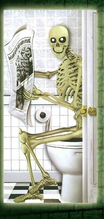 Туалет скелетон. Туалет скелетон. Скелет хочет в туалет. Скелет сидит на унитазе. Держатель для туалетной бумаги скелет напольный.