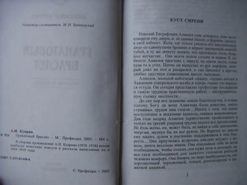 Книга гранатовый браслет содержание. Куприн гранатовый браслет сколько страниц. гранатовый браслет сколько страниц.